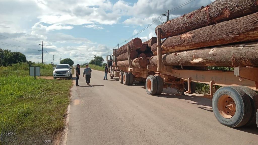 OPERAÇÃO PROTETOR DO BIOMA: Polícia Civil apreende 30,5 metros cúbicos de madeira sendo transportada&nbsp;ilegalmente