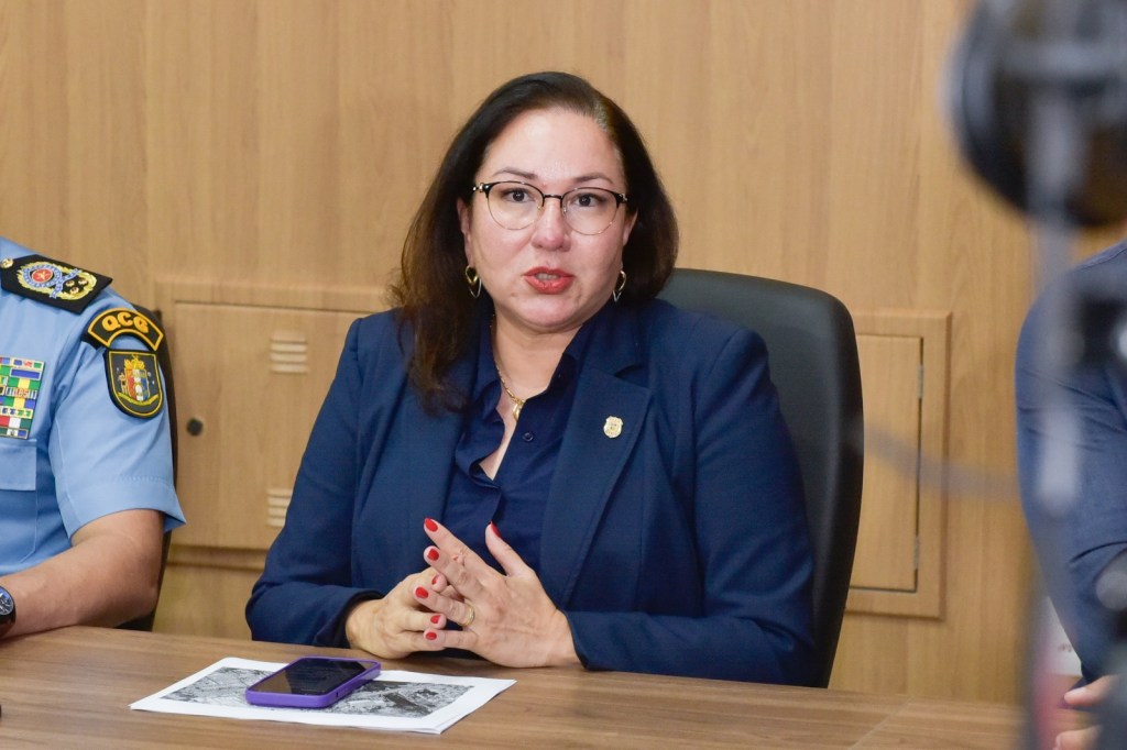 Delegada-geral  comenta sobre o crime e reforça a importância de identificar as&nbsp;vítimas