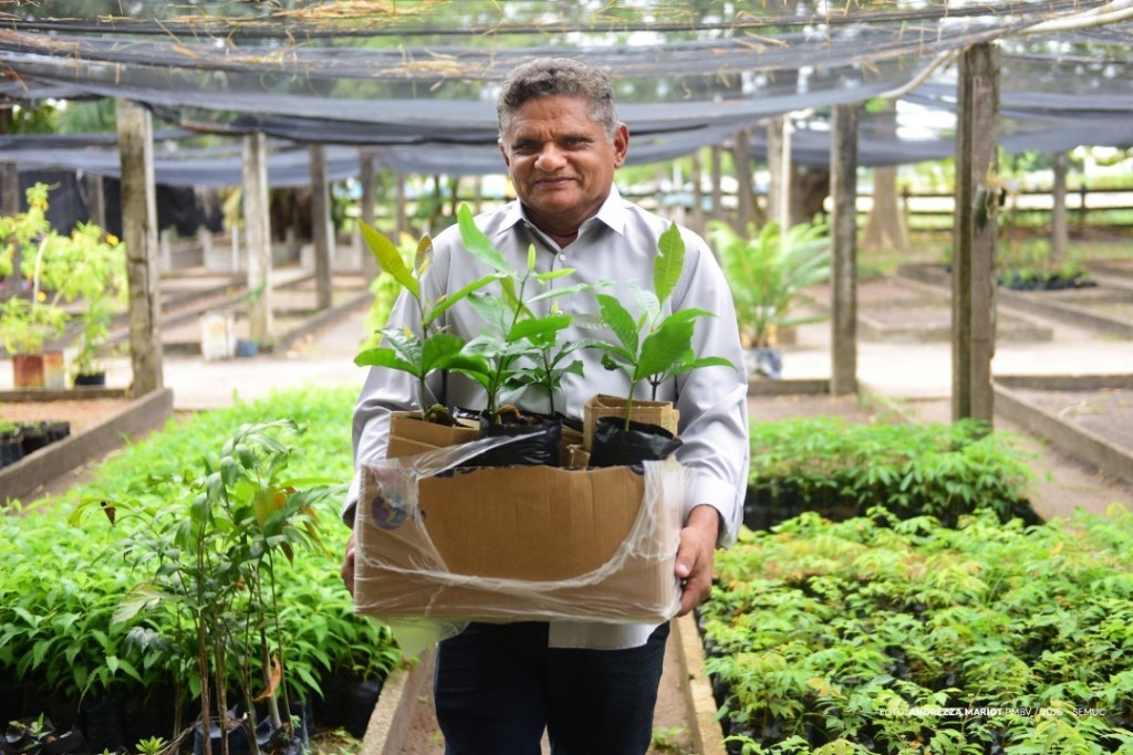 Projeto “Boa Vista Verde” incentiva doação de sementes para ampliar arborização e qualidade de vida na&nbsp;cidade