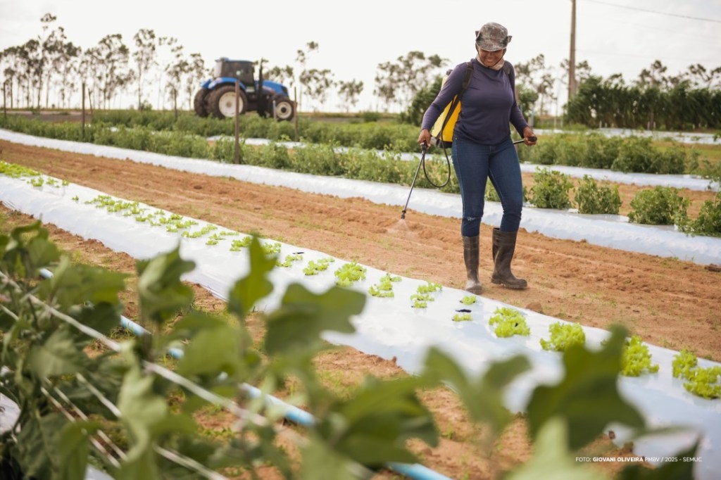 Dia de Campo em Hortifrúti traz novidades em culturas, técnicas de manejo e tecnologias para difundir o cultivo na&nbsp;região