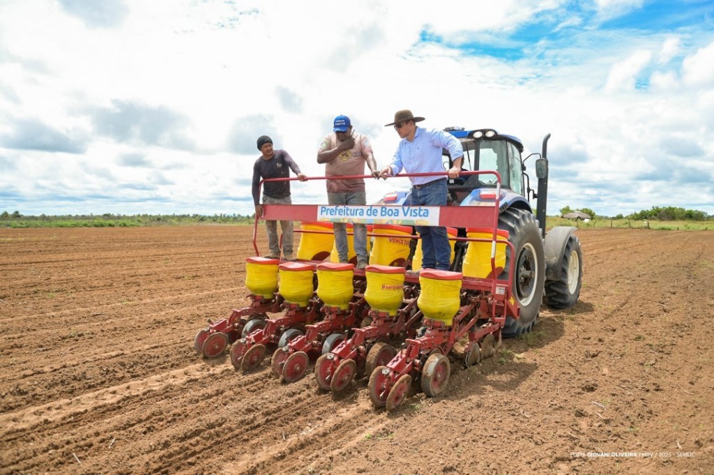 Plantio de milho fortalece renda familiar nas comunidades indígenas de Boa&nbsp;Vista