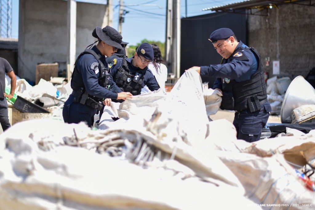 Ferros-velhos e Sucatões de Boa Vista são fiscalizados em ação conjunta de secretarias&nbsp;municipais