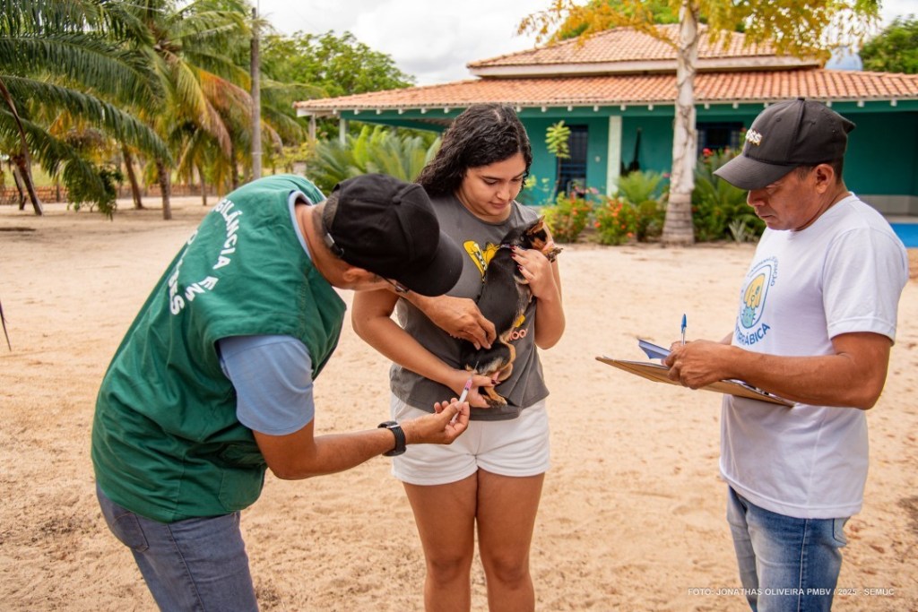 CAMPANHA ANTIRRÁBICA – Vacinação avança na zona rural e imuniza cães e gatos no PA Nova&nbsp;Amazônia