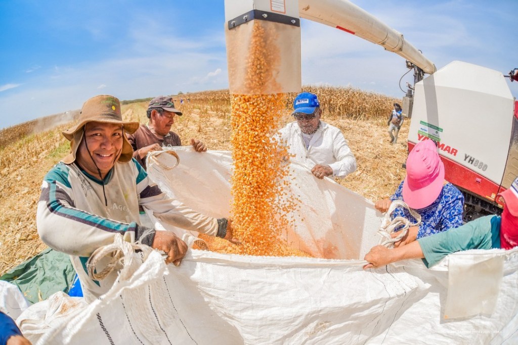 Boa Vista fortalece a agricultura familiar com investimentos e ações estratégicas no&nbsp;campo