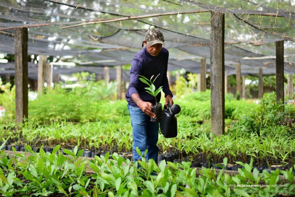 Boa Vista avança em sustentabilidade com ações ambientais e maior conscientização da&nbsp;população