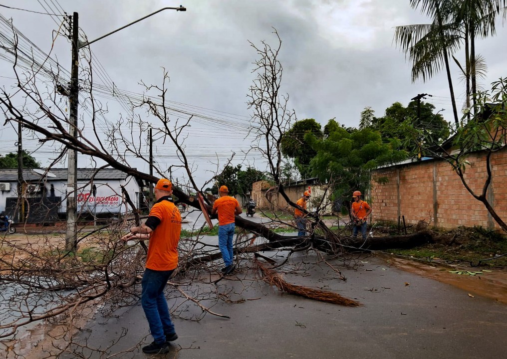 Defesa Civil retira árvore caída no Santa Tereza após forte chuva em Boa&nbsp;Vista