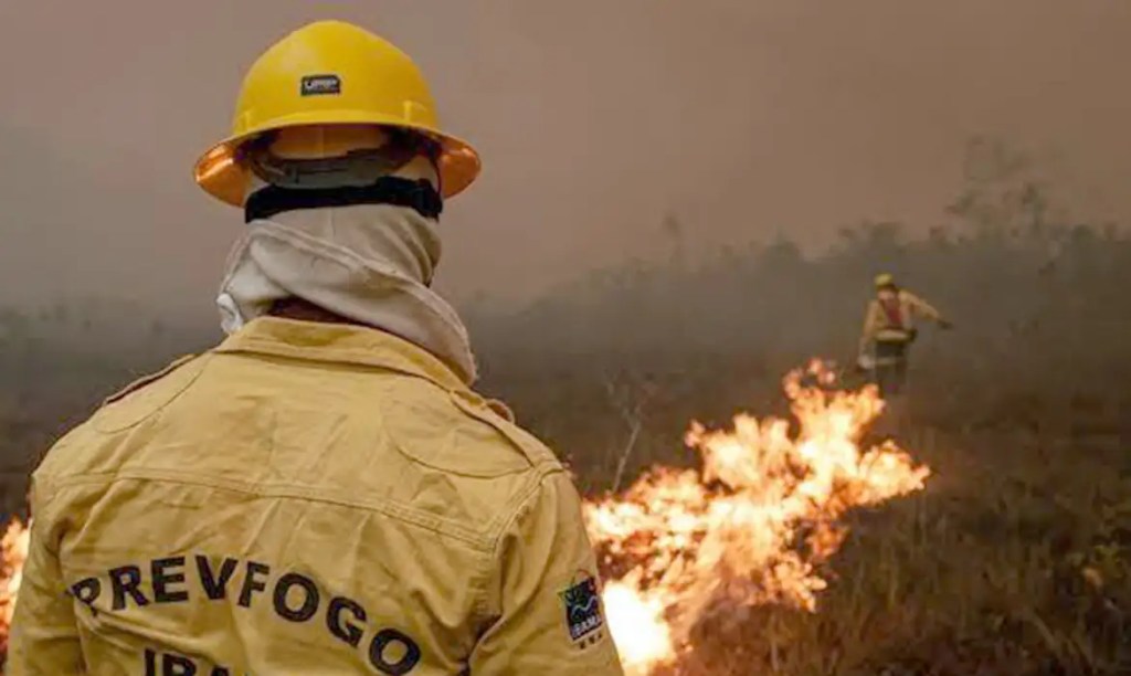 Ibama apaga 229 incêndios no Amazonas e segue no combate ao&nbsp;fogo