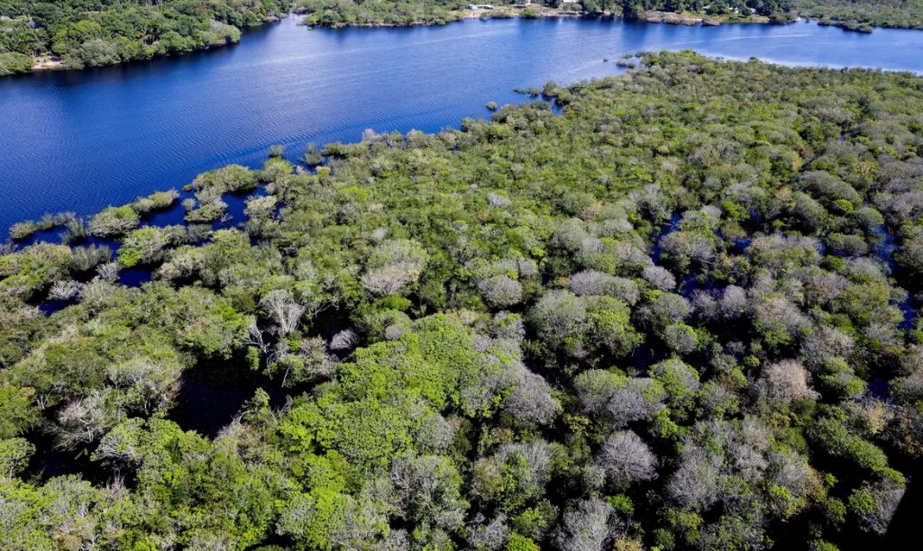 Desmatamento em áreas protegidas da Amazônia chegou ao menor nível em&nbsp;2026